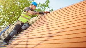 Best Asphalt Shingle Roofing  in Imlay City, MI