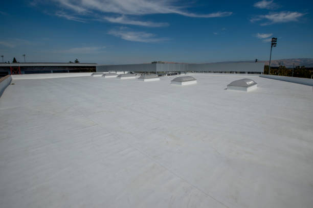 Best 4 Ply Roofing  in Imlay City, MI