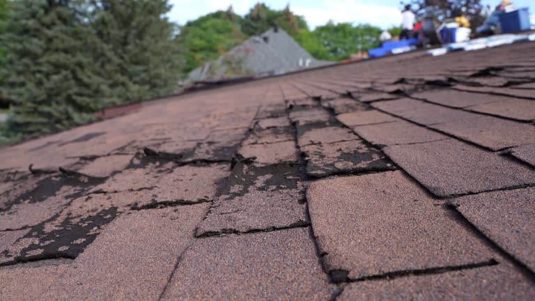 Best Roof Moss and Algae Removal  in Imlay City, MI