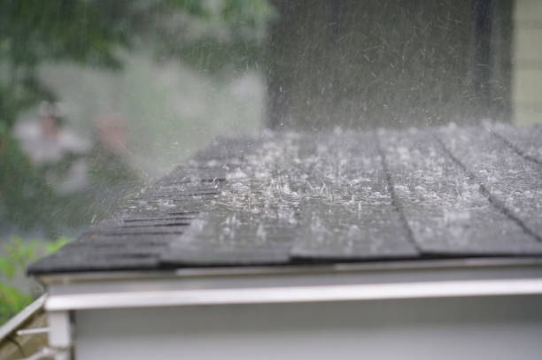 Best Steel Roofing  in Imlay City, MI